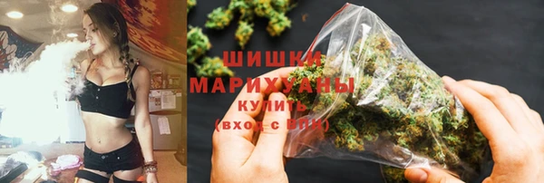 spice Бородино