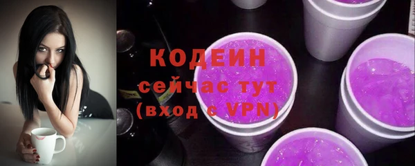 spice Бородино