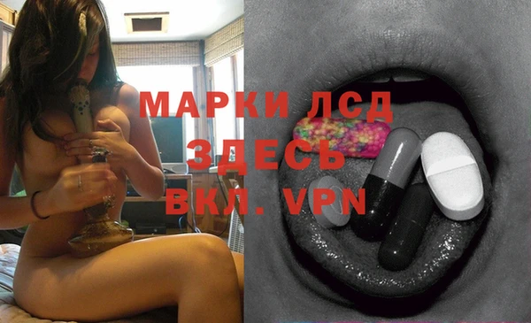 spice Бородино