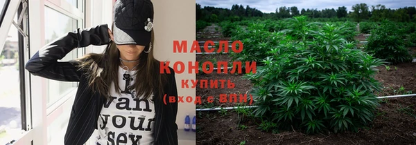 spice Бородино