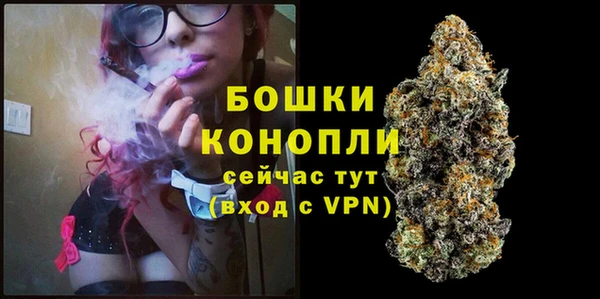 spice Бородино