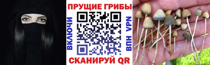 Галлюциногенные грибы ЛСД  где можно купить наркотик  Юхнов 